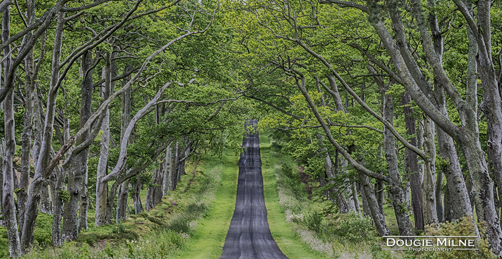 Approach to Bavelaw Castle  - Copyright Dougie Milne Photography 2017