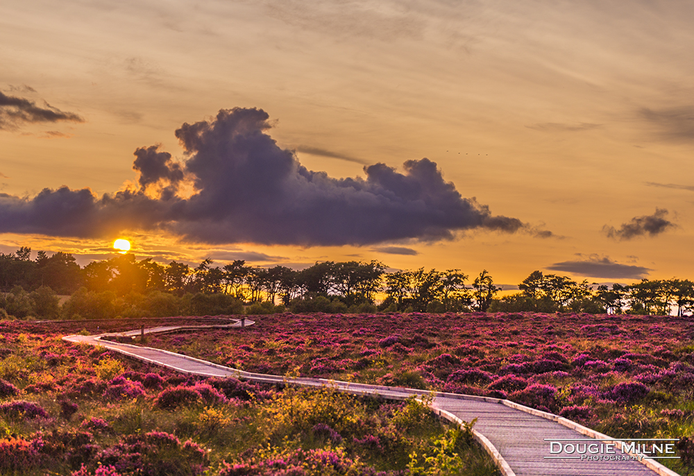 Red Moss Sunset  - Copyright Dougie Milne Photography 2017
