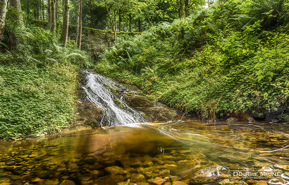 Glengoyne Burn  - Copyright Dougie Milne Photography 2017