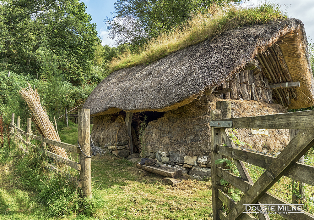 Highland Hame  - Copyright Dougie Milne Photography 2017