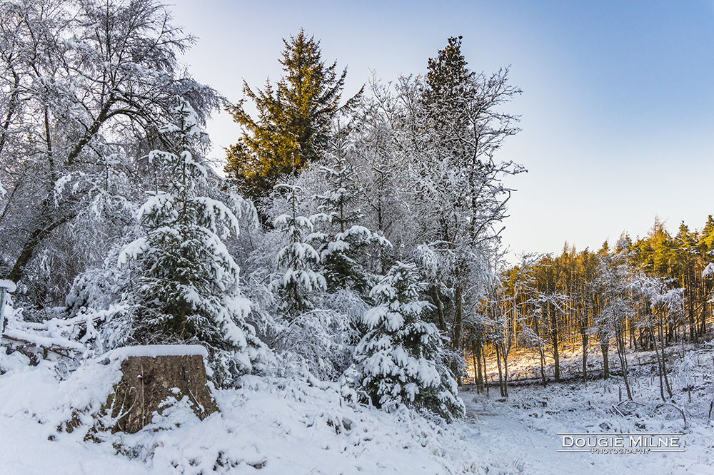 Beecraigs in the Snow  - Copyright Dougie Milne Photography 2017