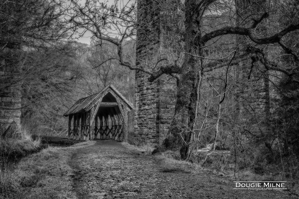 Almondell Country Park Shelter  - Copyright Dougie Milne Photography 2018