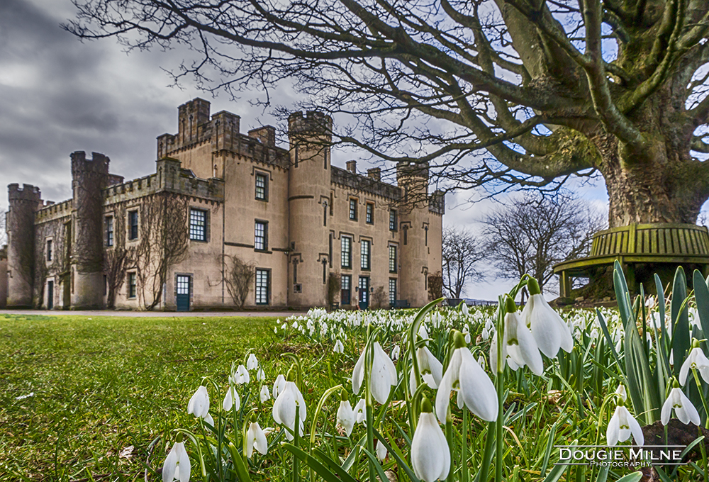 Snowdrops at the House of the Binns  - Copyright Dougie Milne Photography 2018