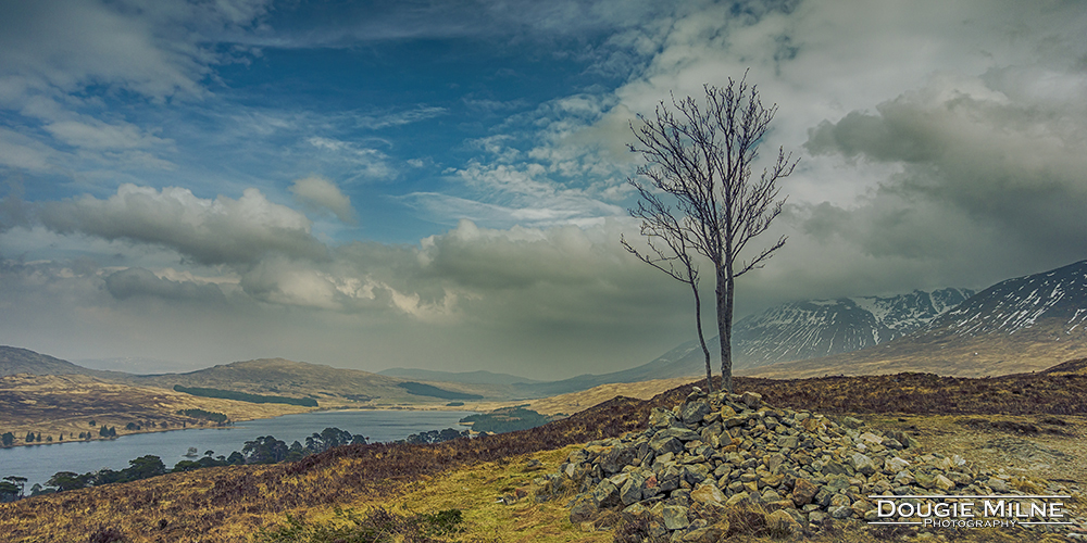 Lone Tree on Màm Carraigh, Overlooking Loch Tulla  - Copyright Dougie Milne Photography 2018