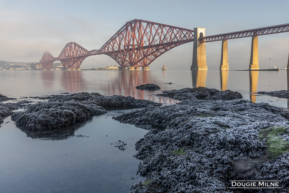 The Forth Bridge in Winter  - Copyright Dougie Milne Photography 2019