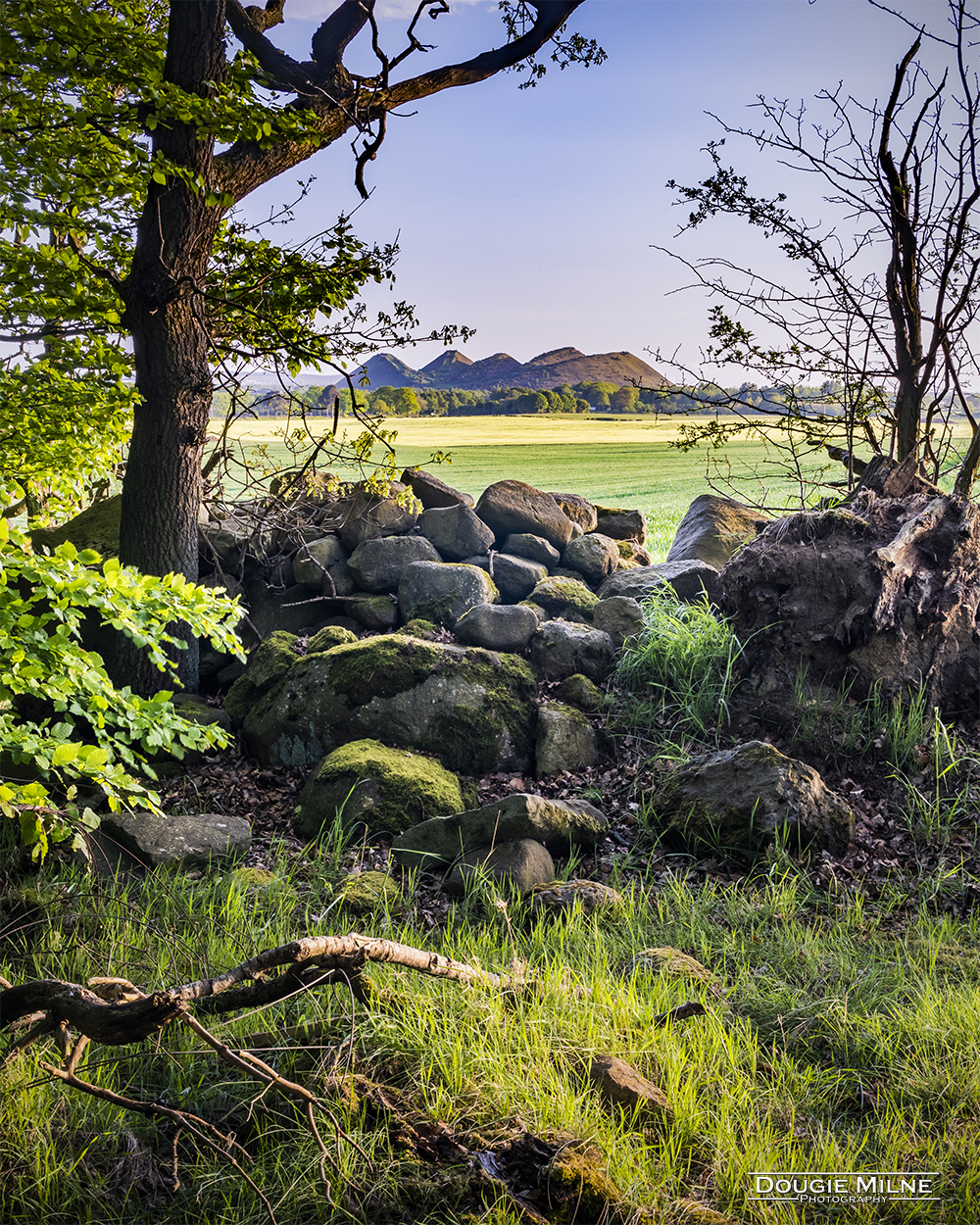 The Five Sisters, West Lothian  - Copyright Dougie Milne Photography 2020