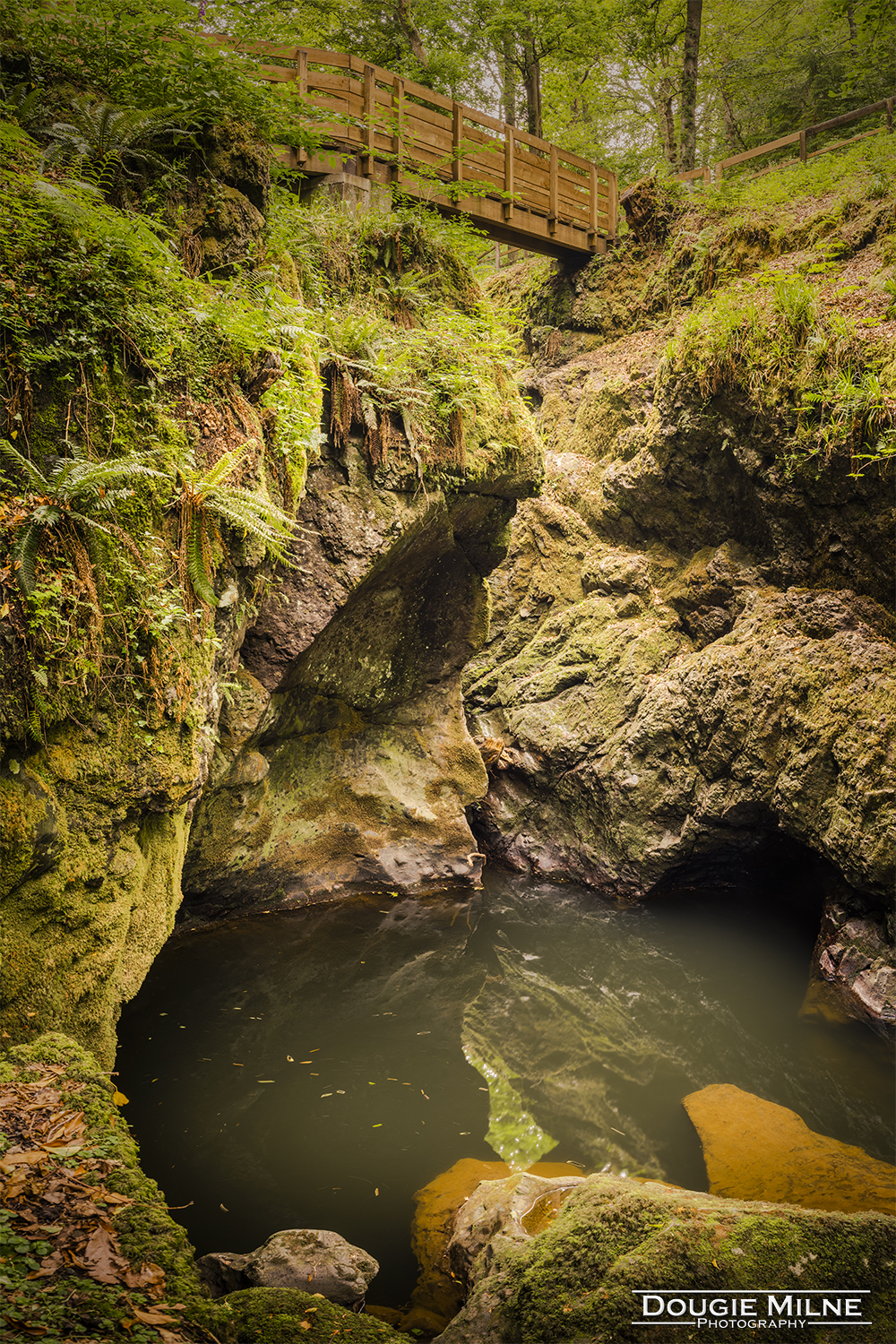 Rumbling Bridge Gorge, Perth and Kinross, Scotland  - Copyright Dougie Milne Photography 2020