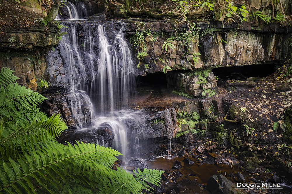 Majestic Blairskaith Linn Waterfall in the Lennox Hills  - Copyright Dougie Milne Photography 2020