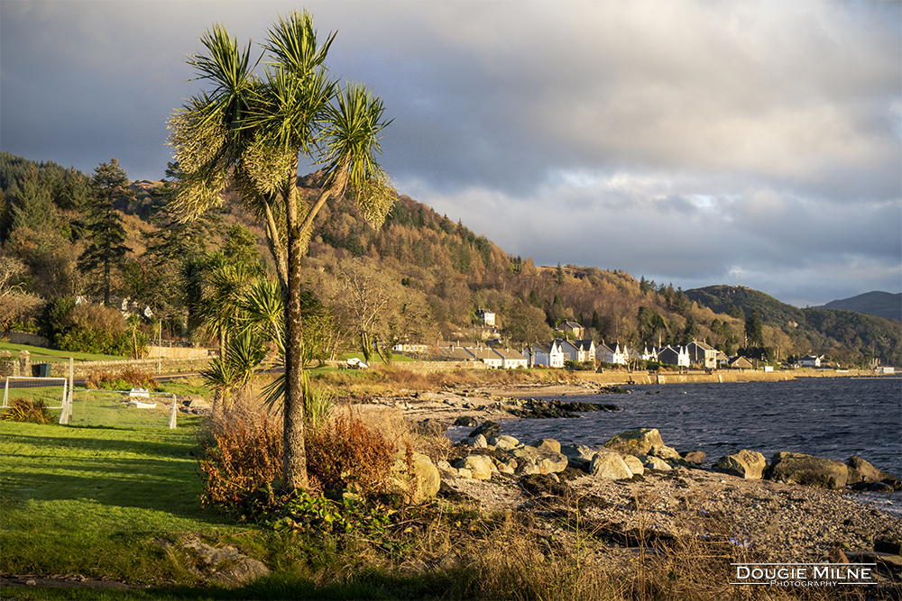 Tighnabruaich  - Copyright Dougie Milne Photography 2022