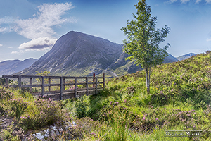 Picture of Buachaille Etive Mòr from The Devil's Staircase