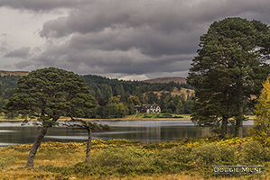 Picture of Loch Tulla