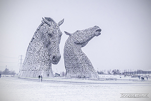 Picture of Kelpies in the Snow