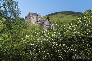 Picture of Castle Campbell