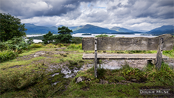 Picture of Inchcailloch Viewpoint