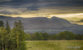 Picture of Distant Dumgoyne