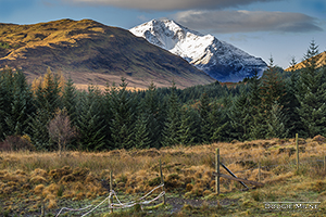 Picture of Ben Lui from Dalrigh
