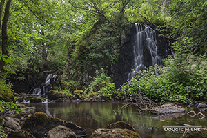 Picture of Linn Jaw Waterfall, West Lothian