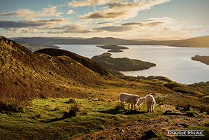 Picture of An Autumn Evening on Conic Hill