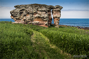 Picture of Buddo Rock, near St Andrews