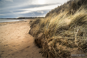 Picture of Kingsbarns Beach